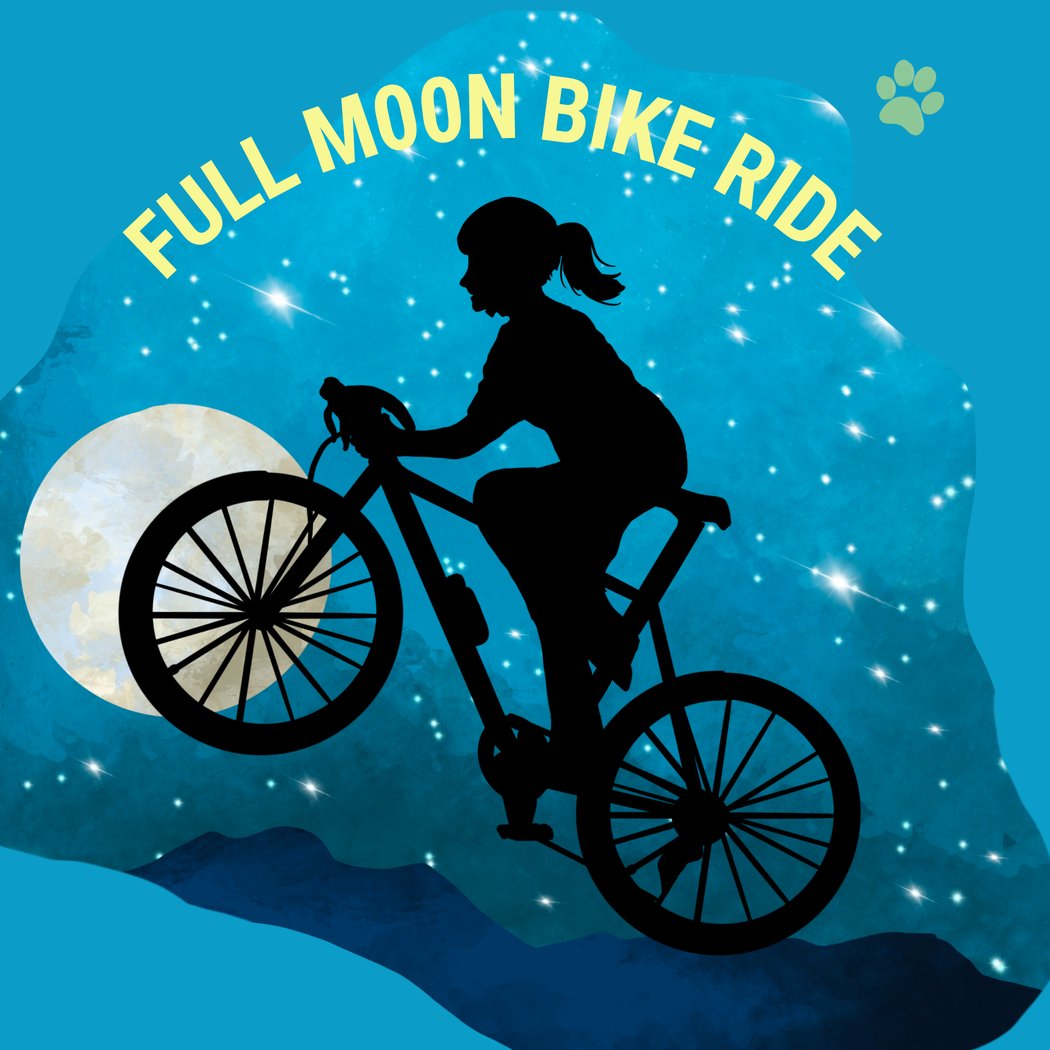 Full Moon Bike Ride 1