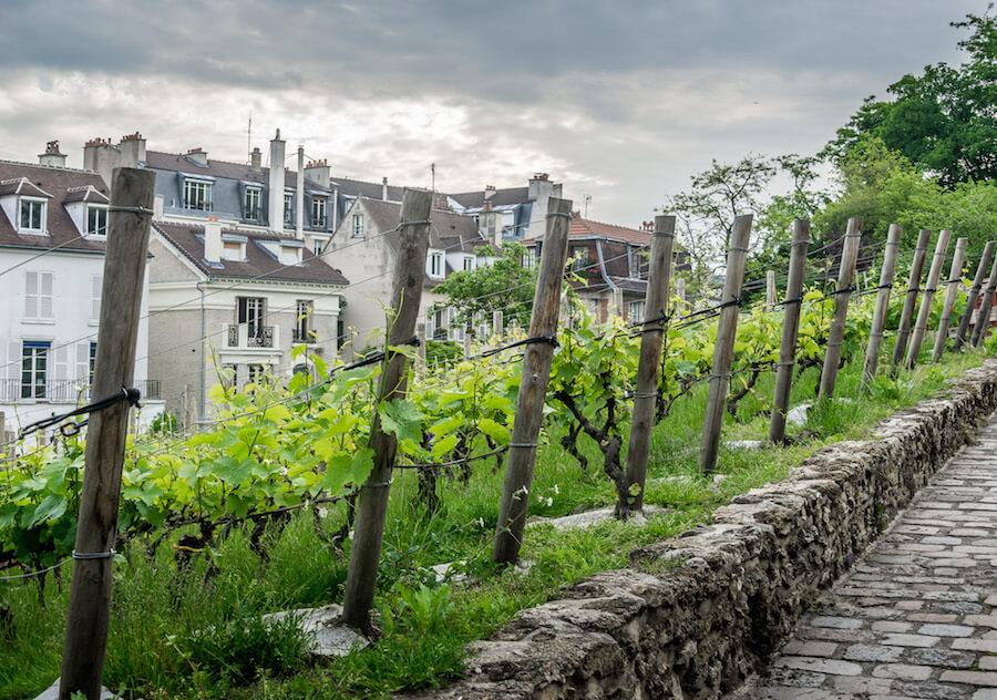 La Commanderie du Clos Montmartre 3