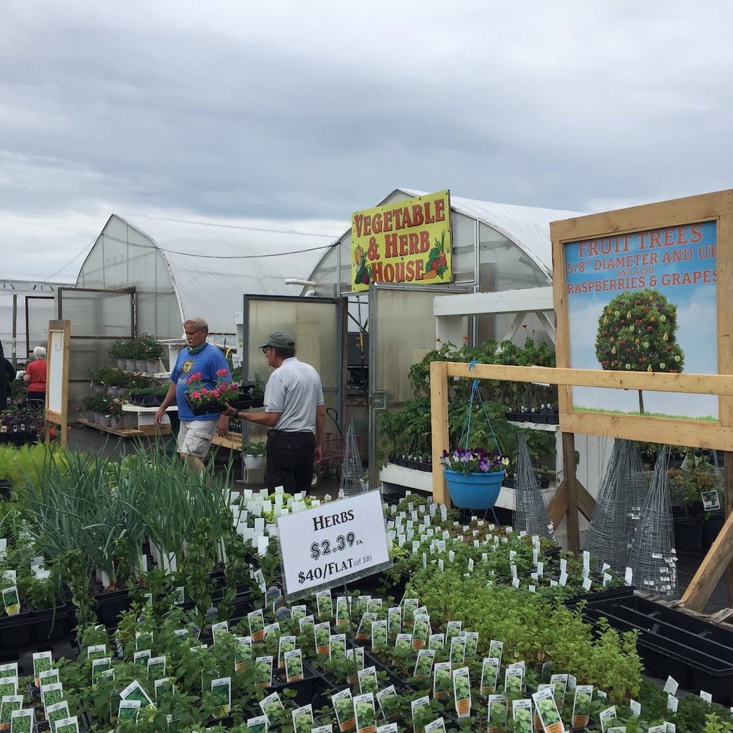 Alexander Farm Market & Greenhouses 2