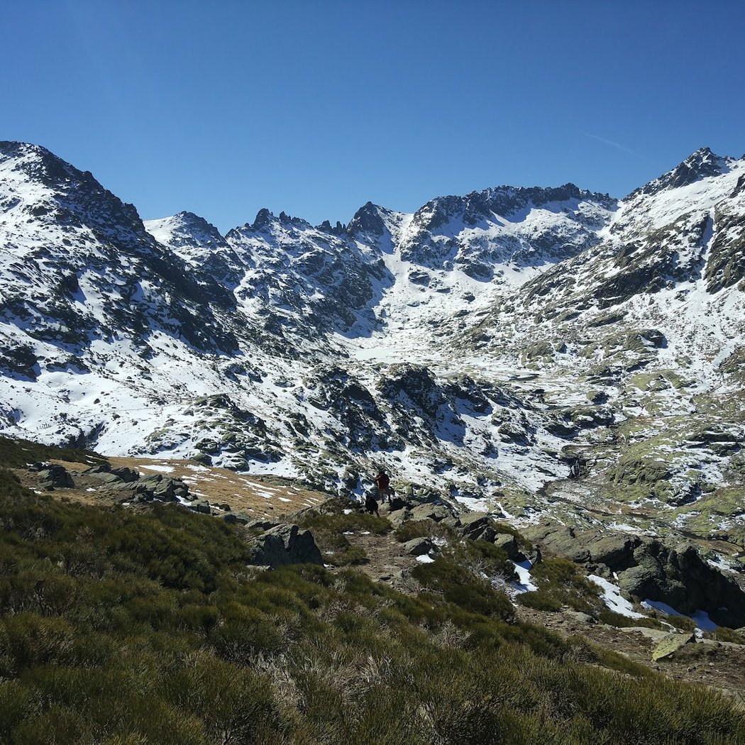 Parque Regional de la Sierra de Gredos 3