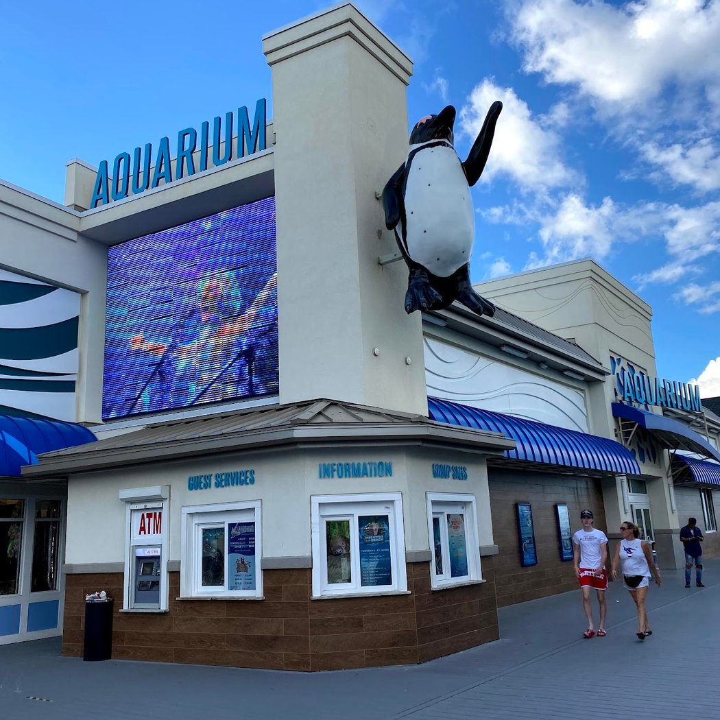 Jenkinson's Aquarium 2