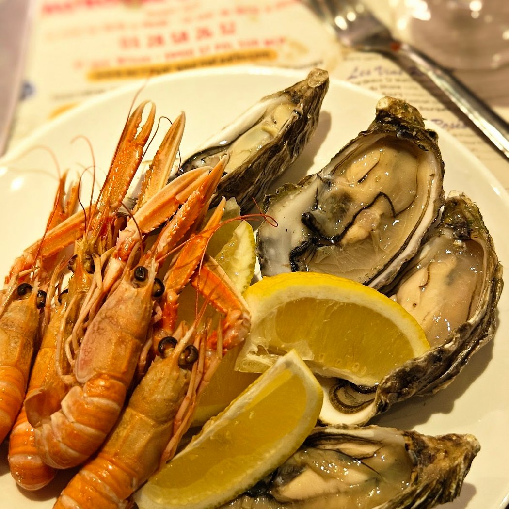 Royal Gourmet 1
