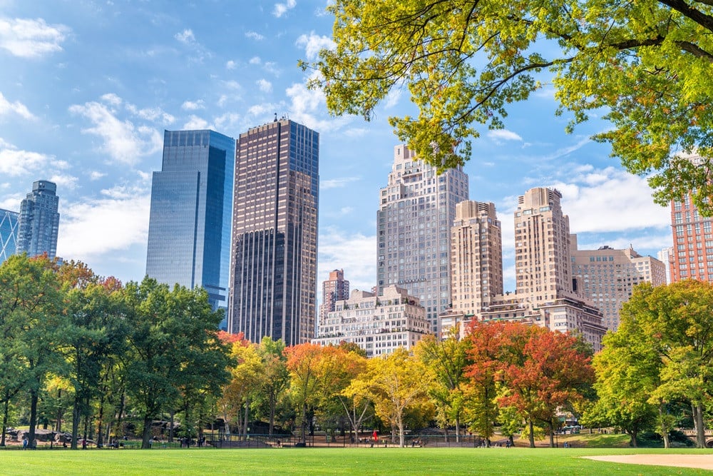 Central Park NYC Ever Walk Group 1