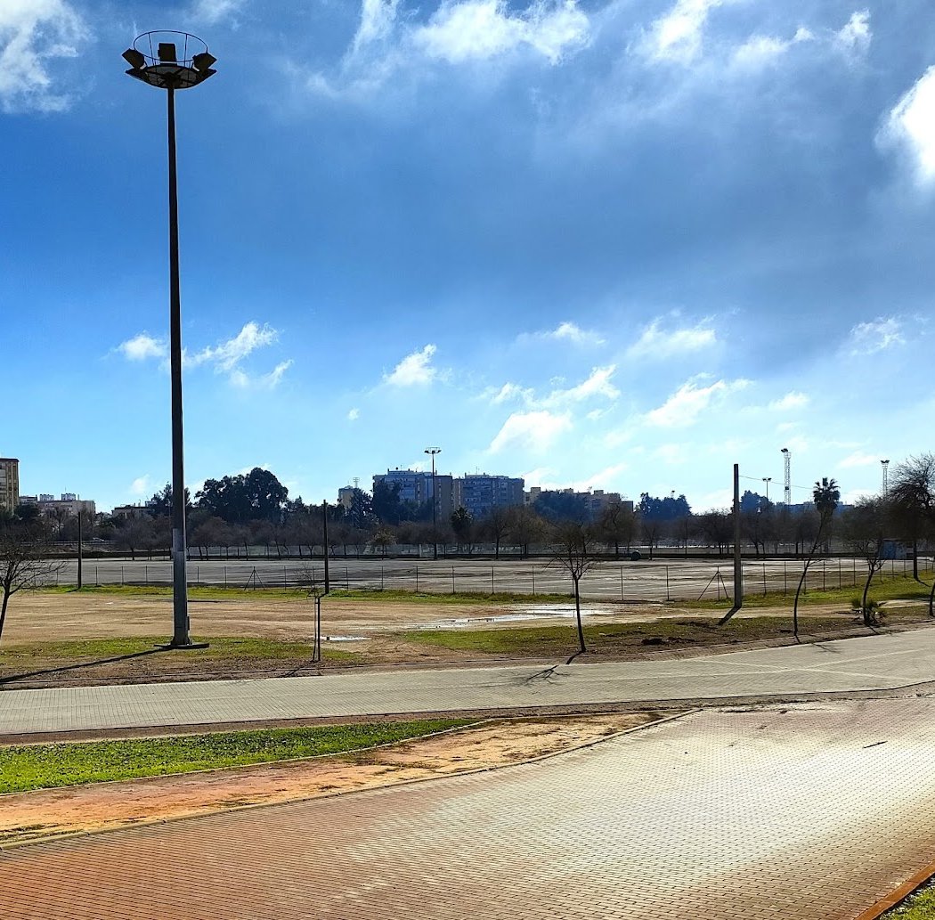 Vega de Triana 3