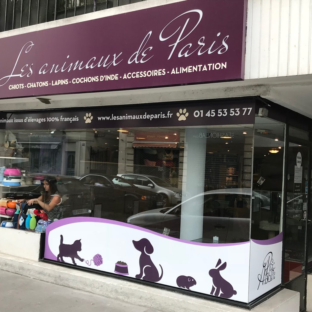 Les Animaux de Paris 2