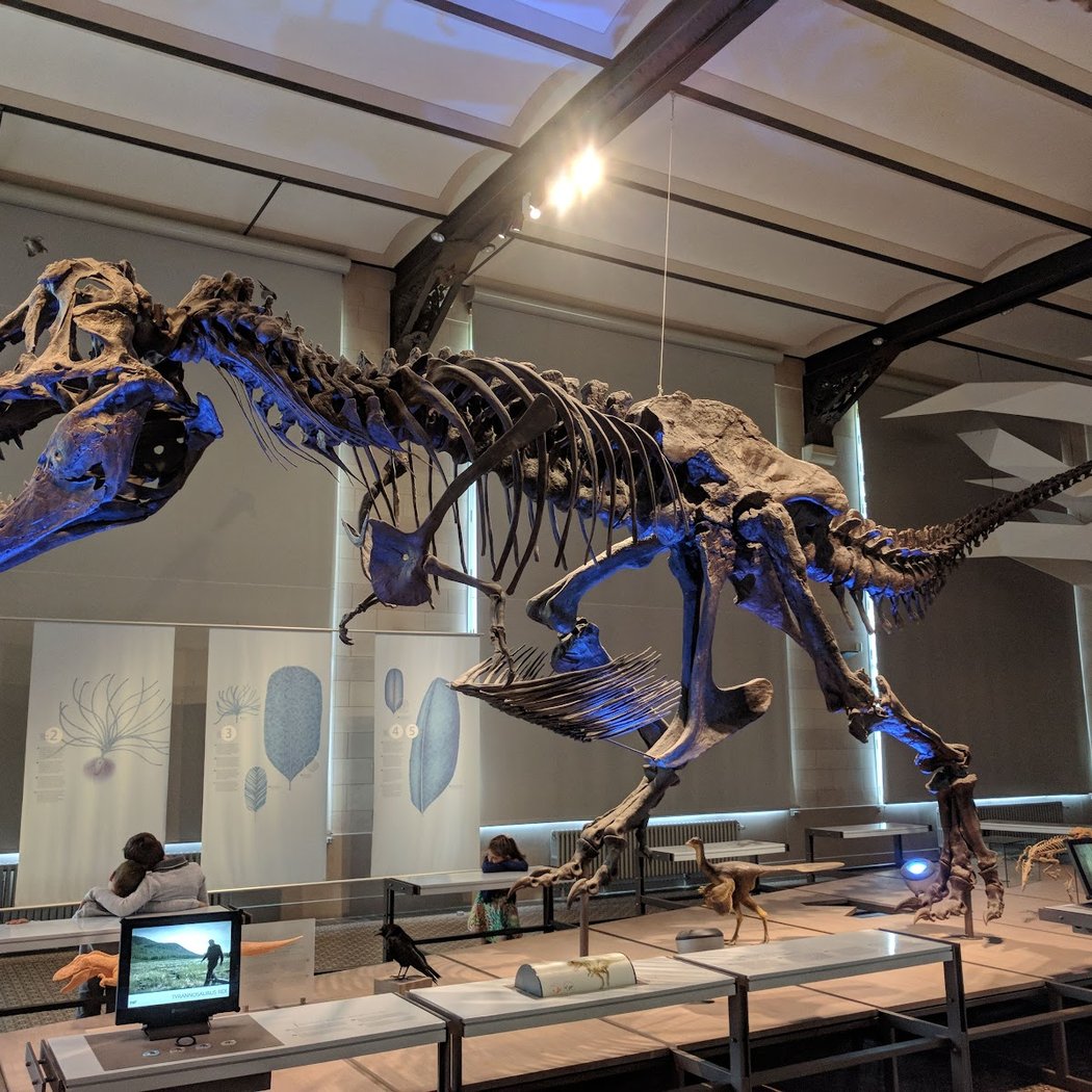Royal Belgian institute of Natural Sciences 1