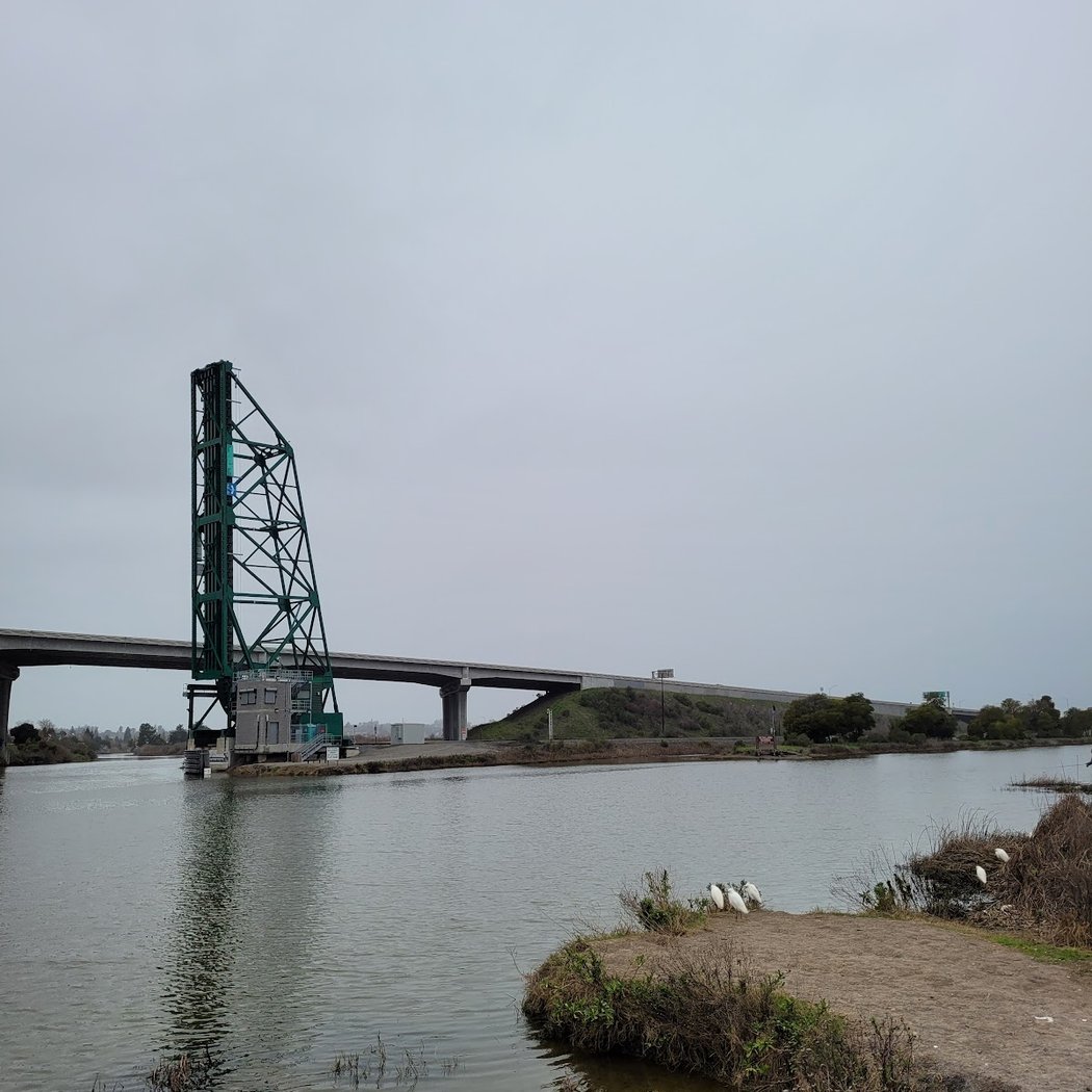 Petaluma Marsh 2