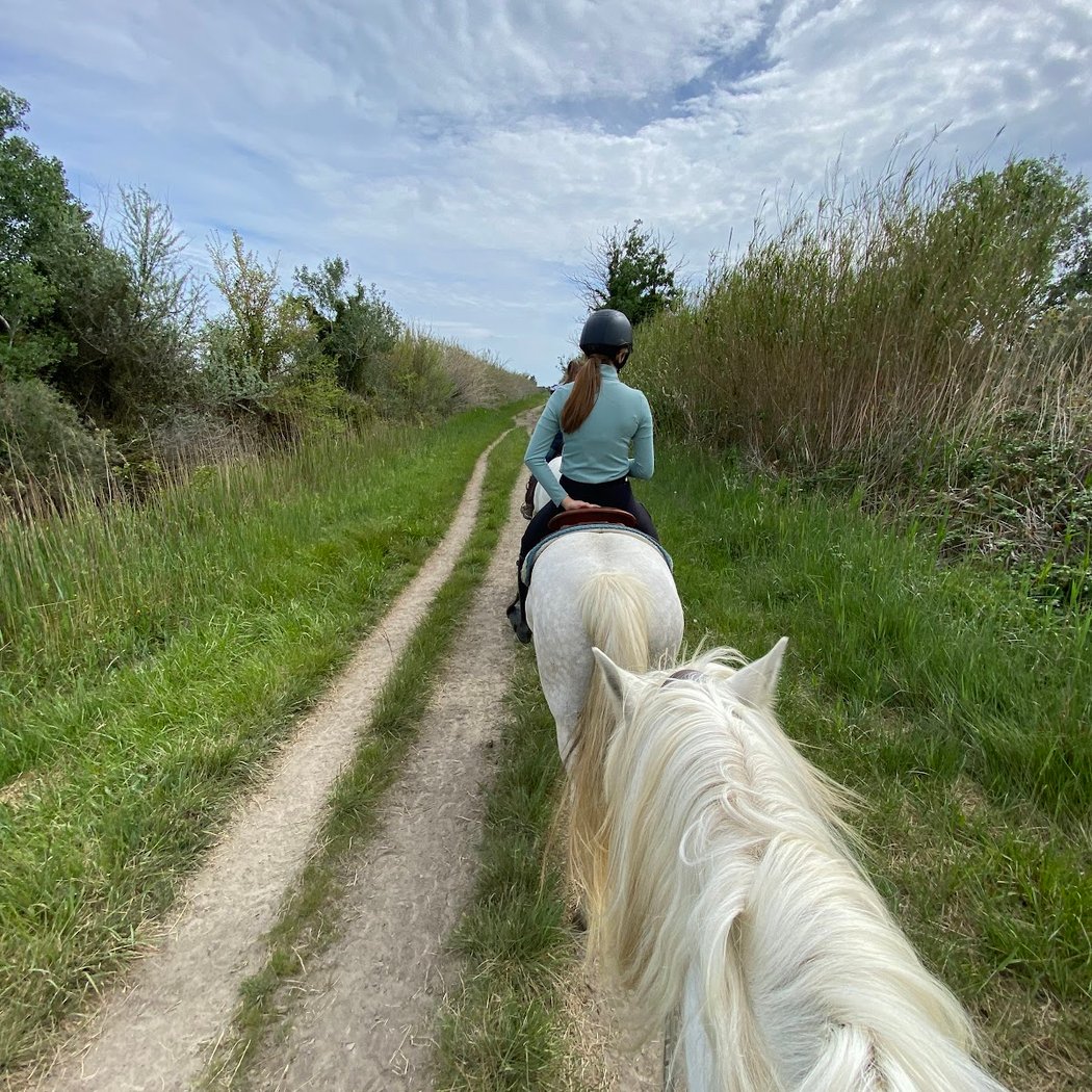 Claire Equitation 2