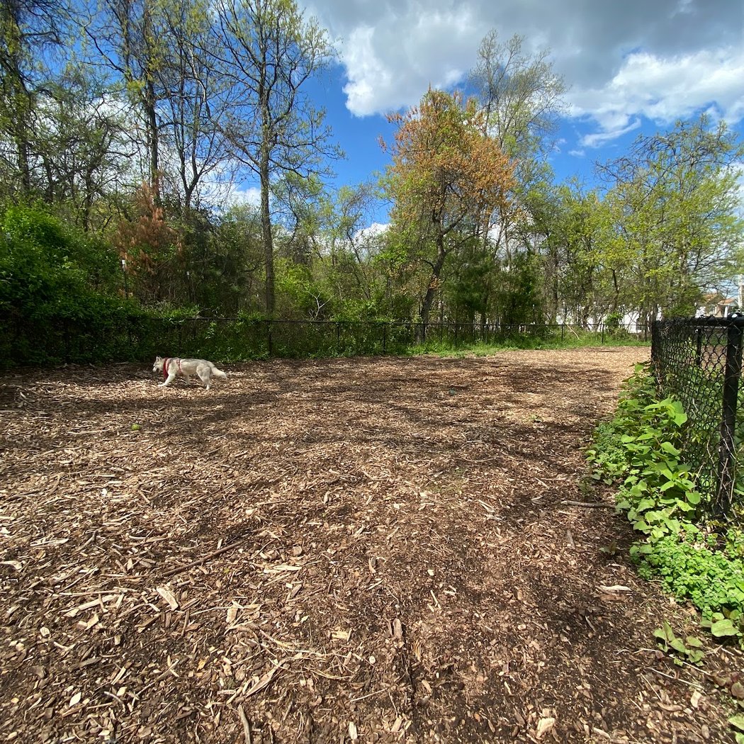 Conference House Dog Park 2