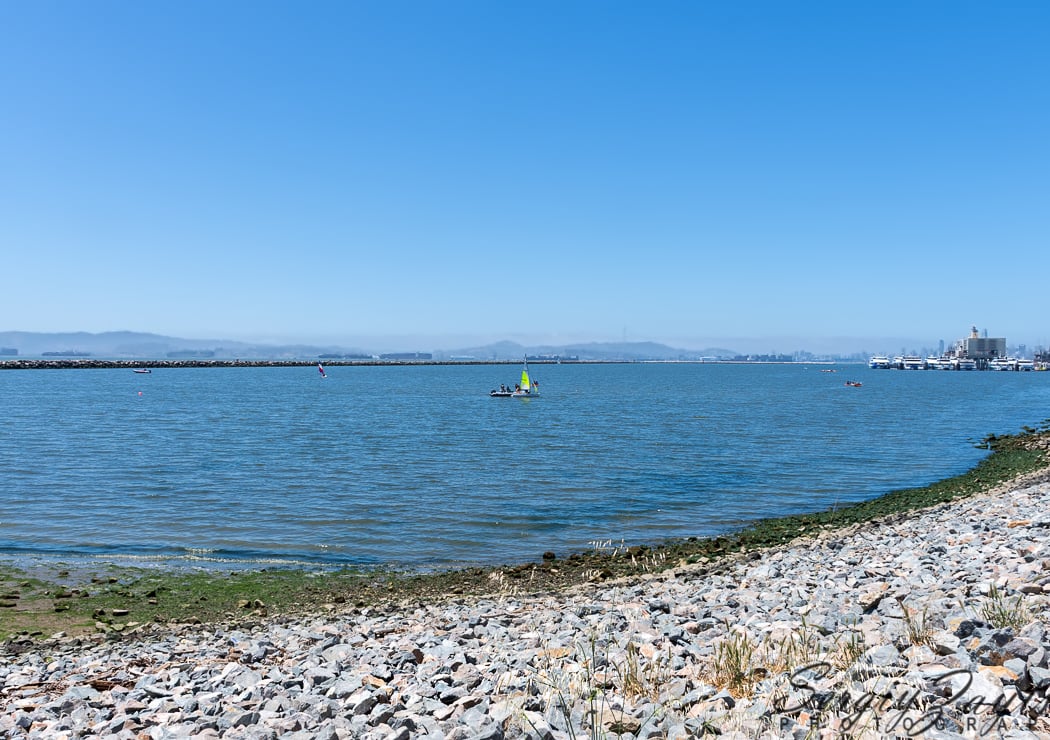 Encinal Beach 2