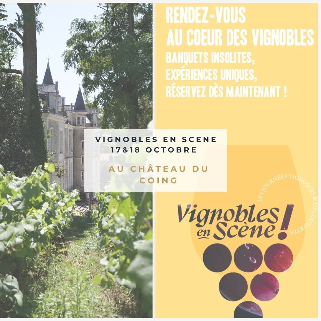 Vignobles en Scène 1