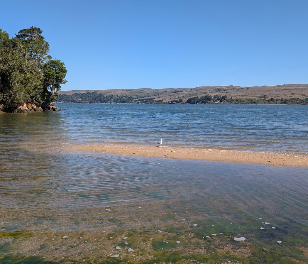 shell beach 3