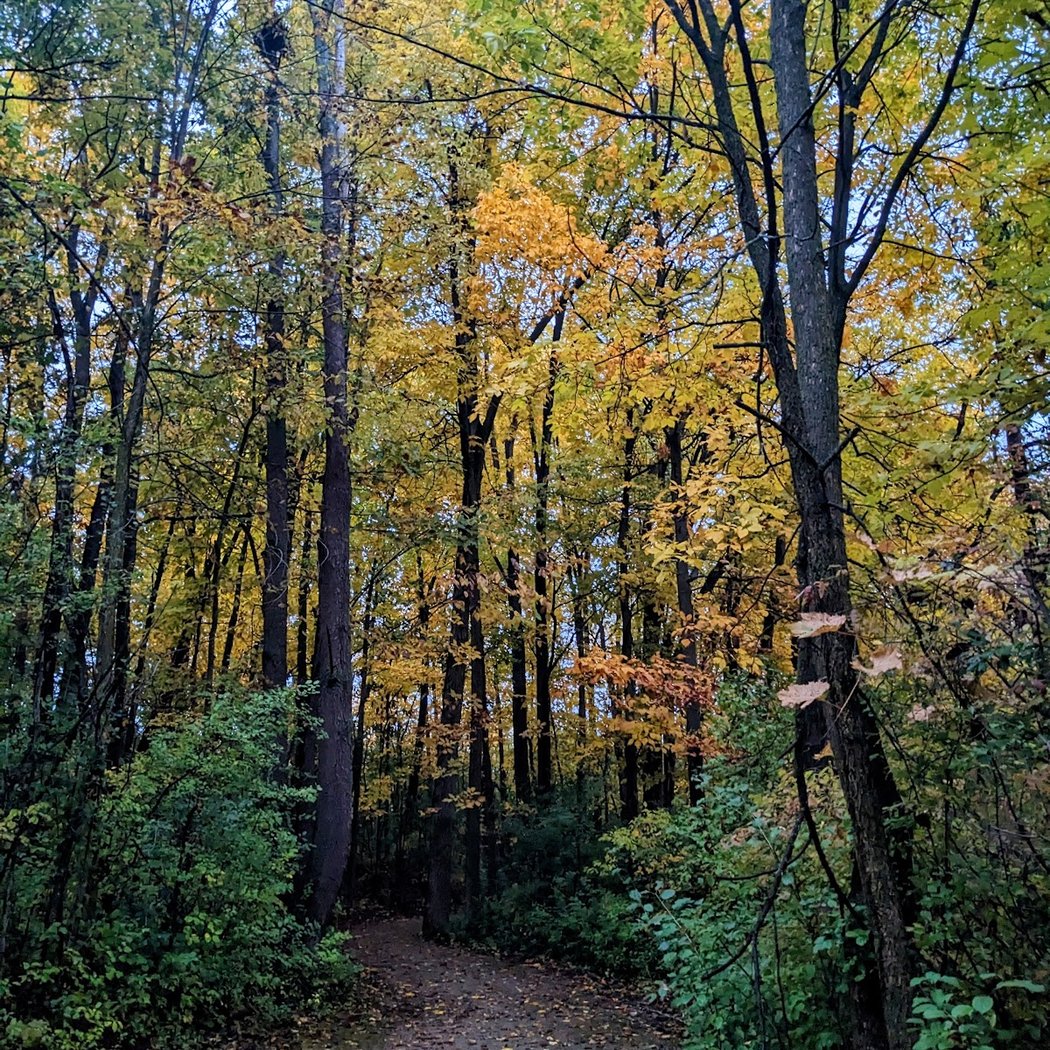 Marsh View Meadows 2