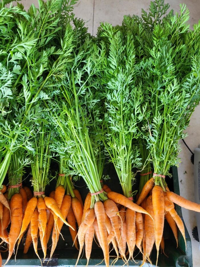 Rancocas Creek Farm CSA Volunteer & Workshare 3