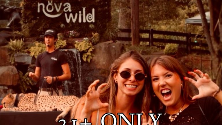 Wild Nights at NOVA Wild 1