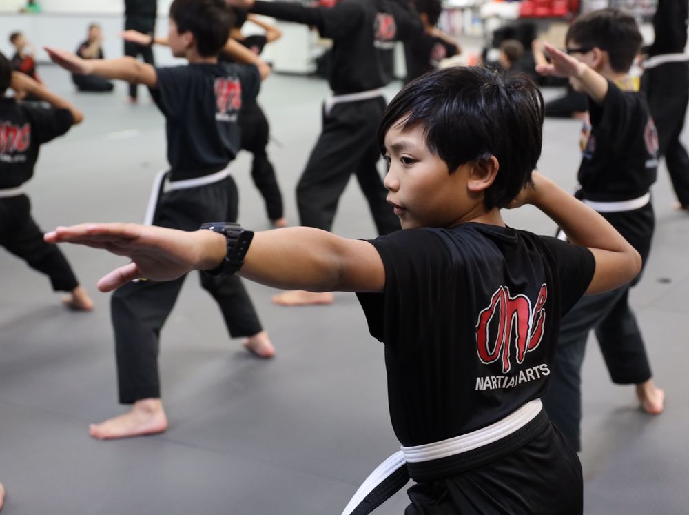 One Martial Arts - Millbrae 1
