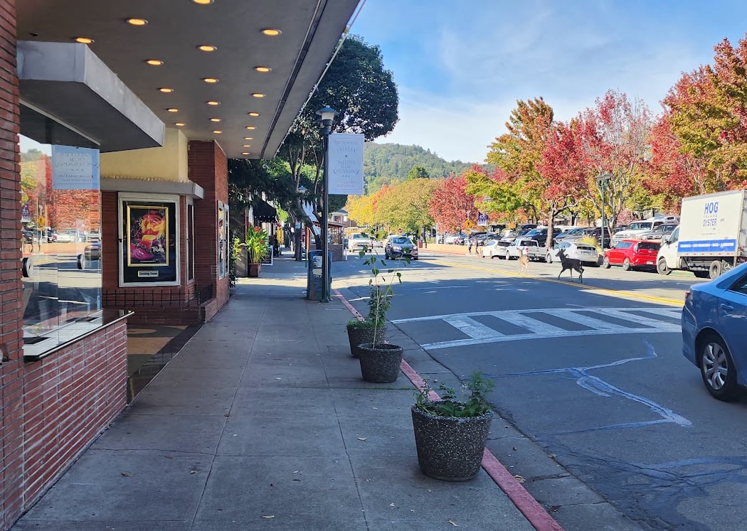 Fairfax Theater 3