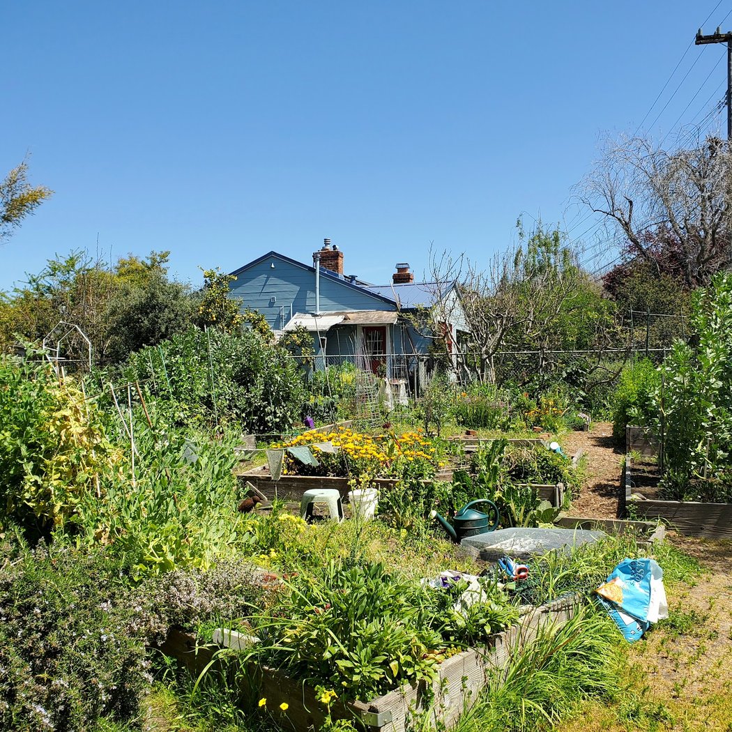 Karl Linn Community Garden 1