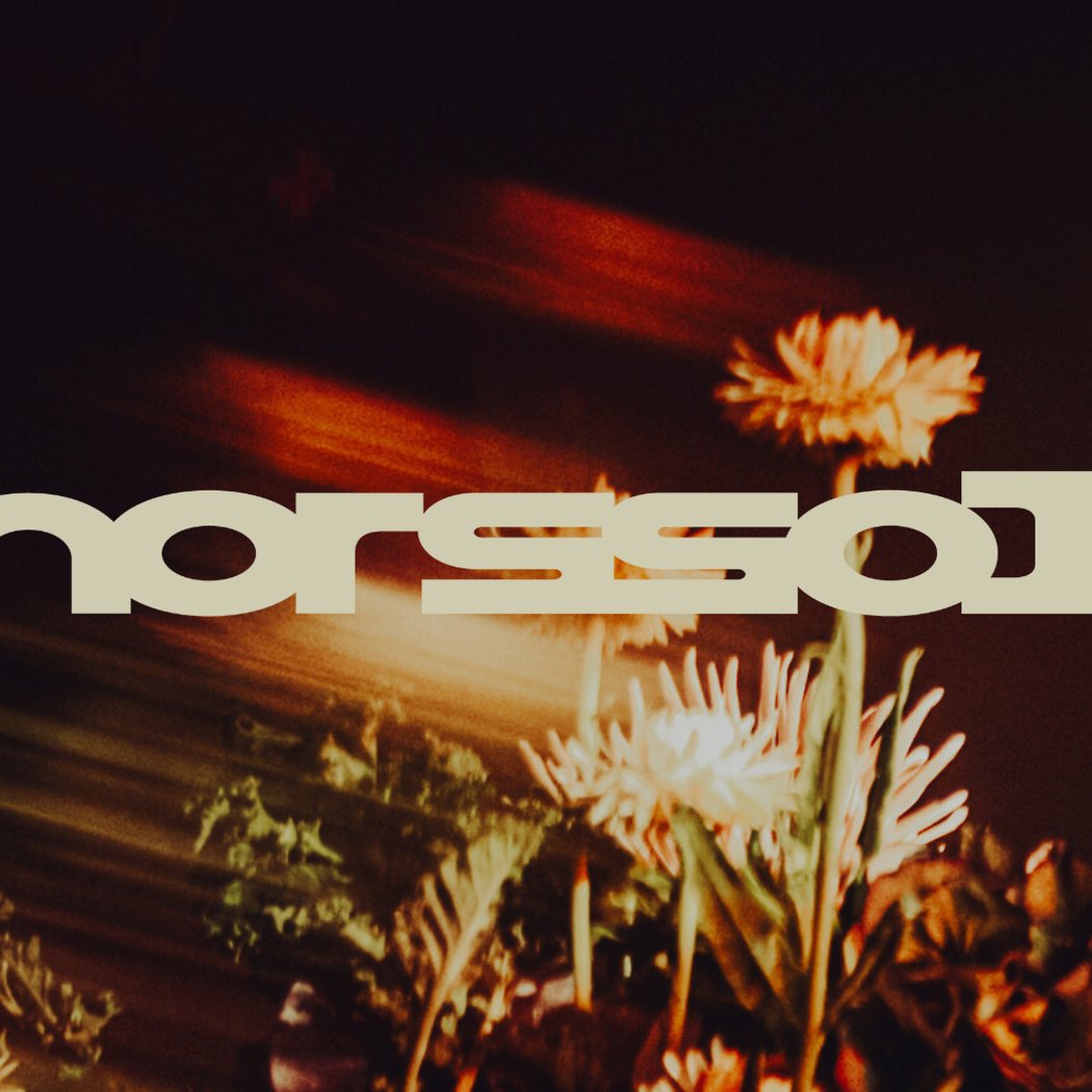 HORS-SOL — BAMBI + OKOURU + TRANCESETTERS OF WESTPHALIA 1