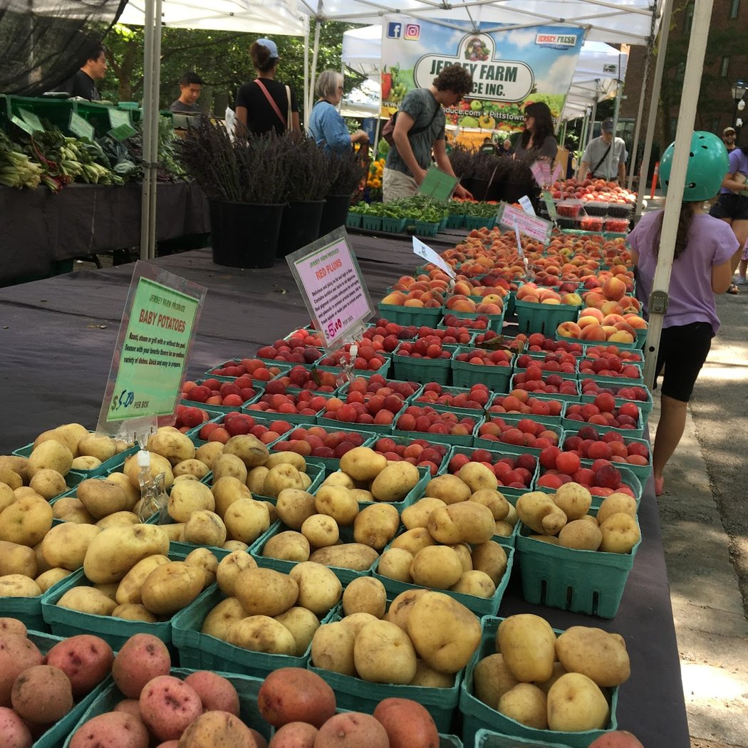 Stuyvesant Town Greenmarket 1