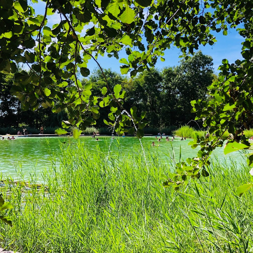 Baignade Naturelle 3