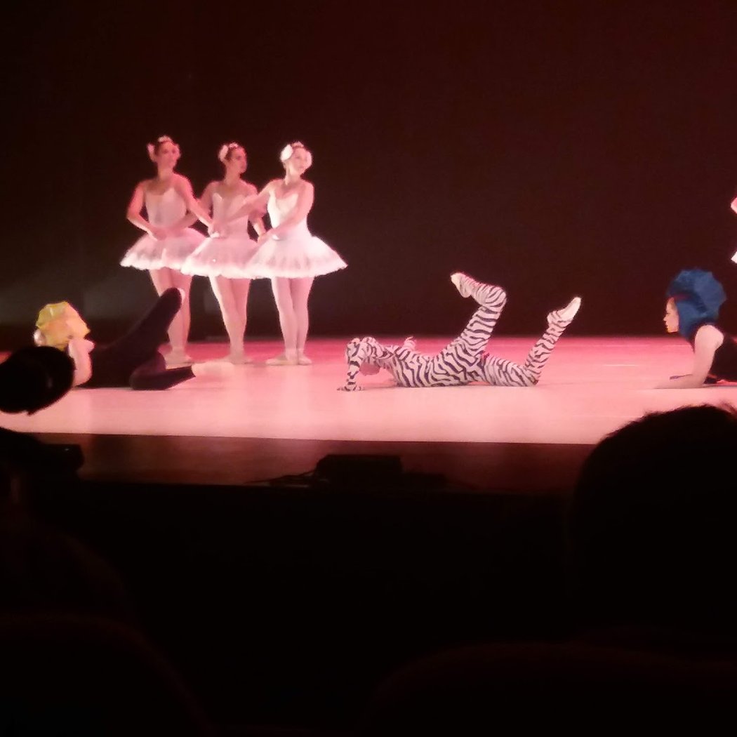 REPRÉSENTATION DES ATELIERS THÉÂTRE 3