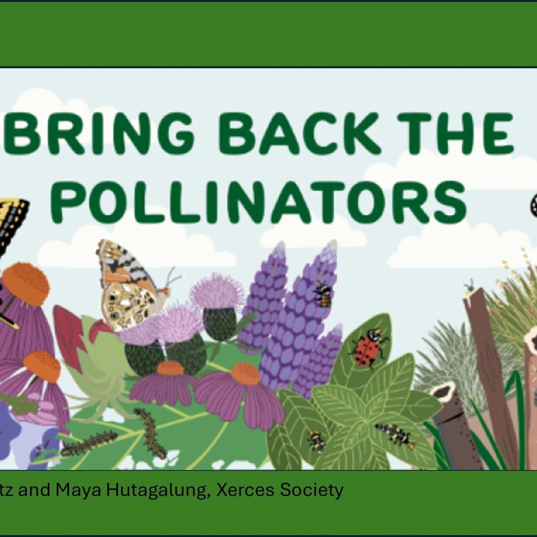Bring Back the Pollinators - Bee City Seminar