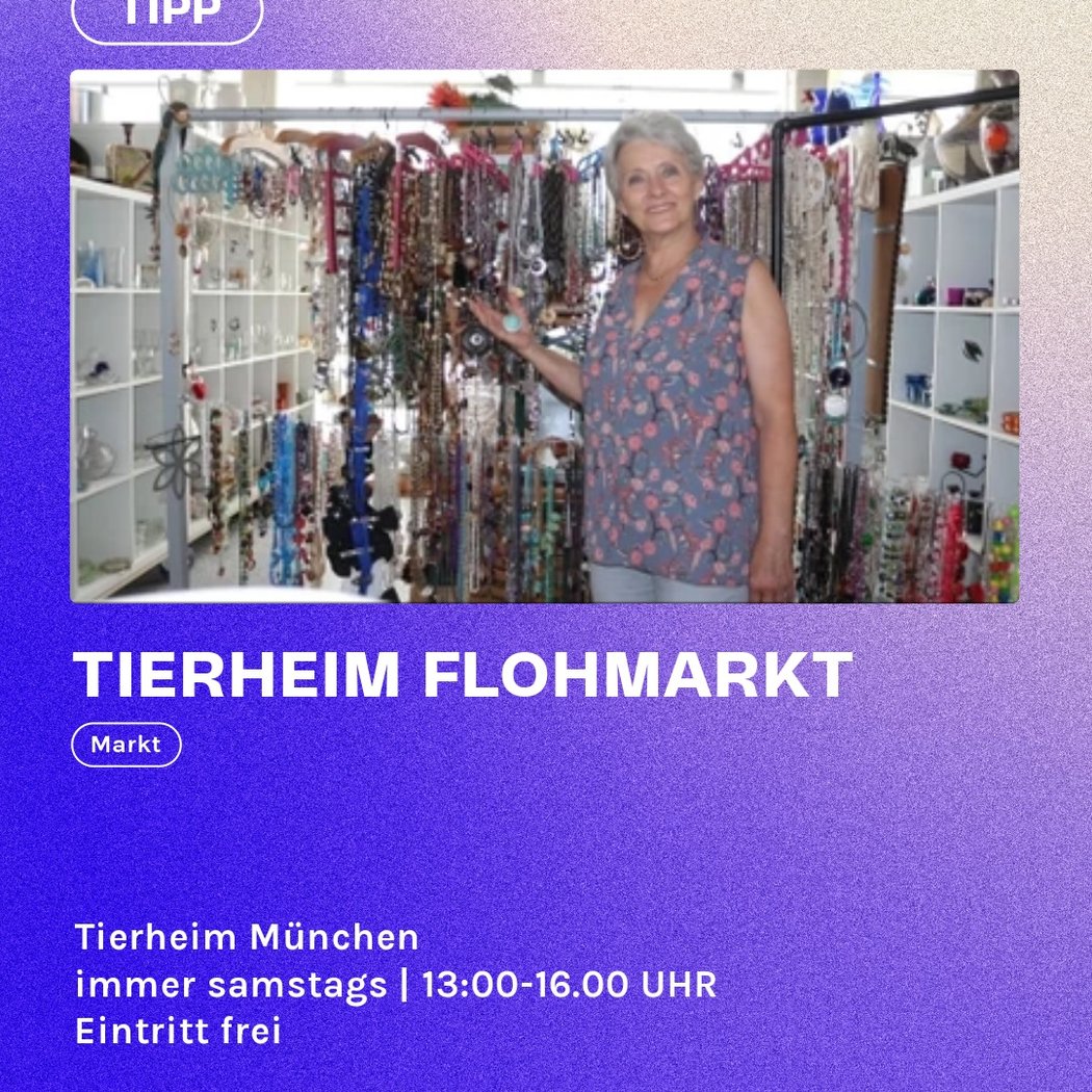 TIERHEIM FLOHMARKT 1