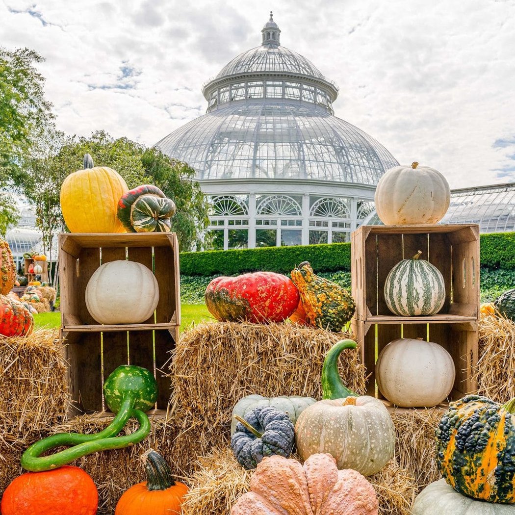 Pumpkin Path Display 1