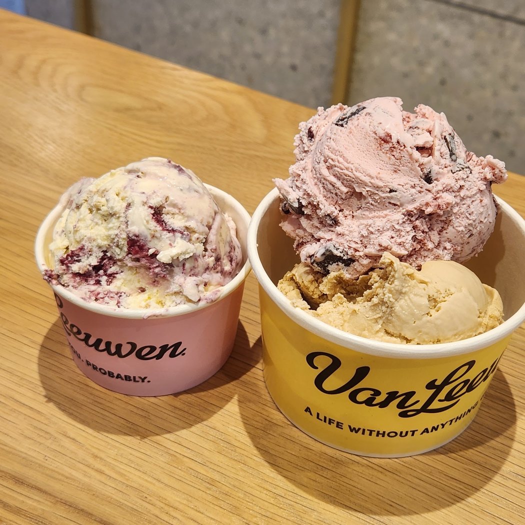 Van Leeuwen Ice Cream 1