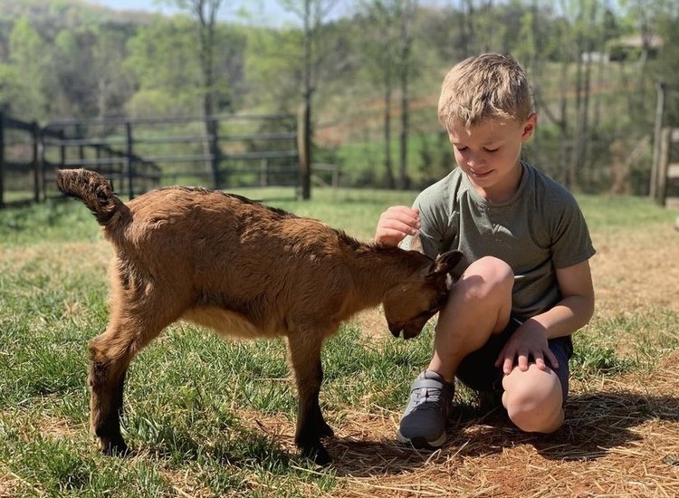 Little Explorers Petting Zoo 3