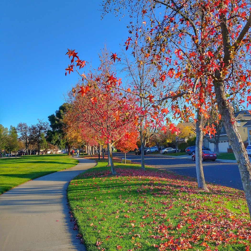Hansen Park 1