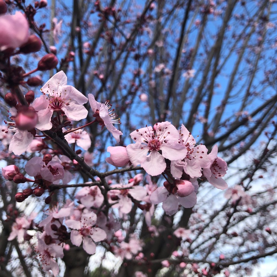 Grief and Renewal: A Restorative Sound Bath & Grief Gathering 2
