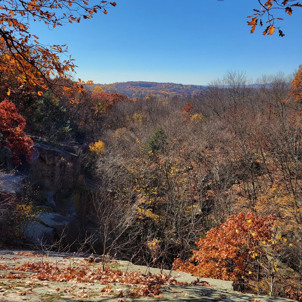 Sylvan Glen Park Preserve 3