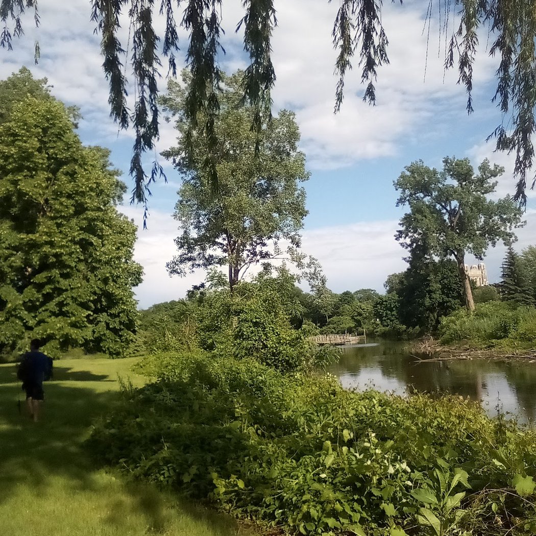 Ojibway Island 2