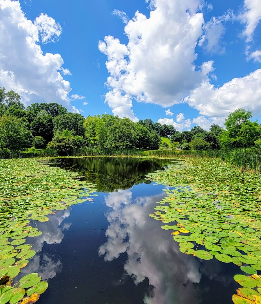 F. R. Newman Arboretum 2