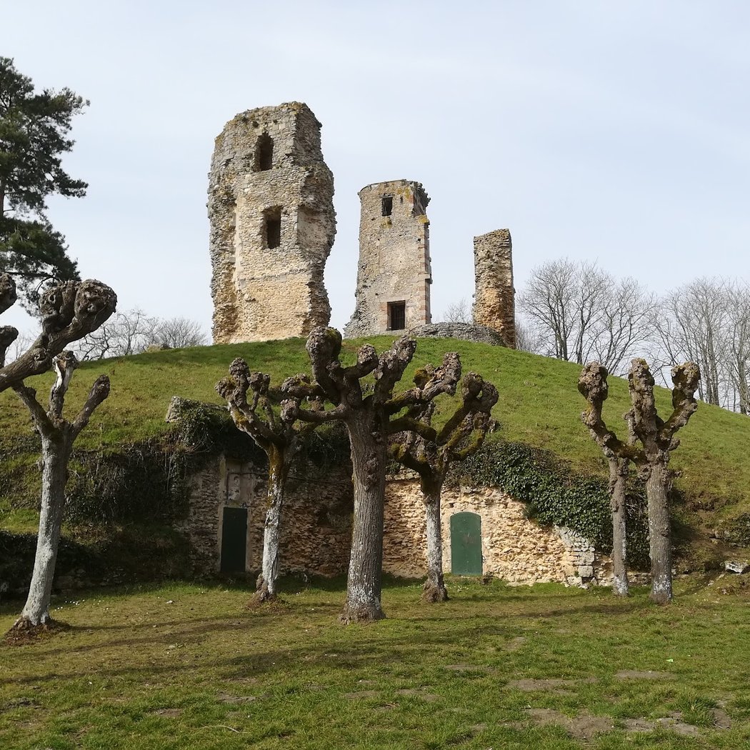 Les tours d'Anne-de-Bretagne 2