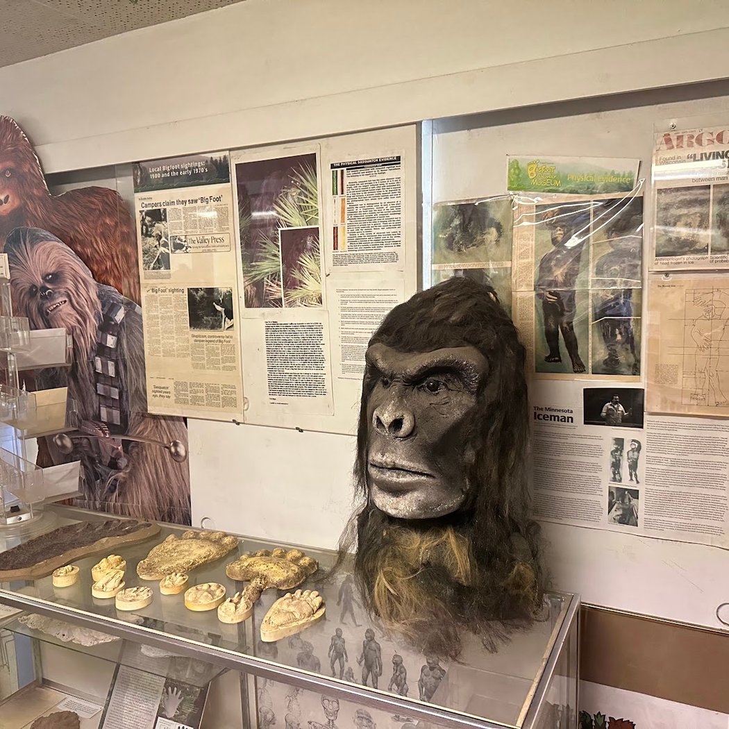 Bigfoot Discovery Museum 3