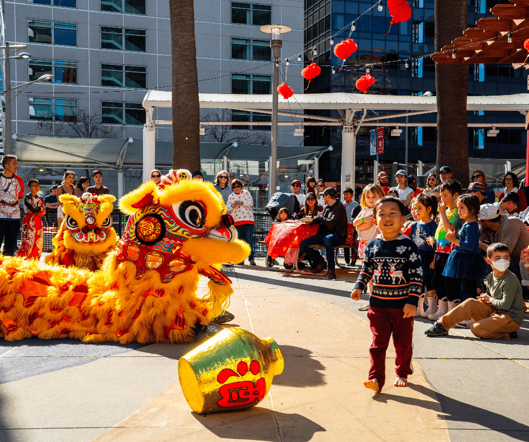 Lunar New Year Celebration 1