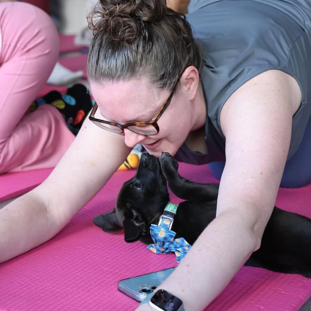 Golden Retriever x Great Pyrenees Puppy Yoga 3