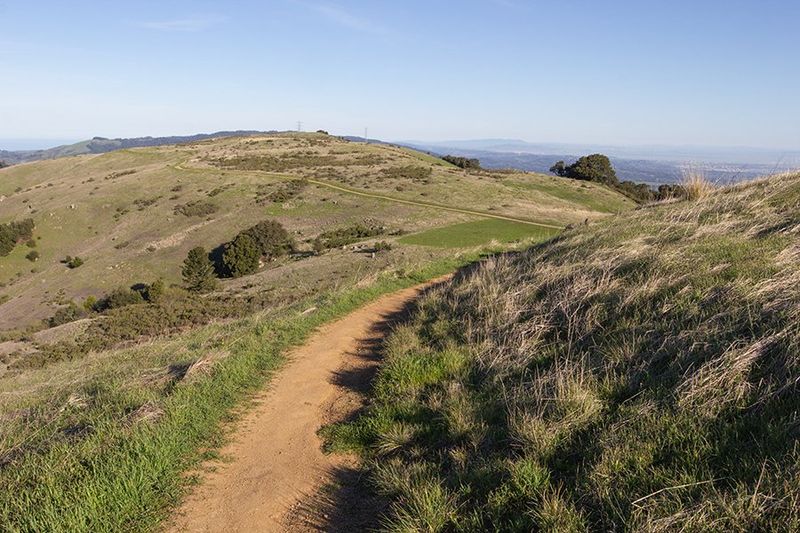 Ridge Trail 1
