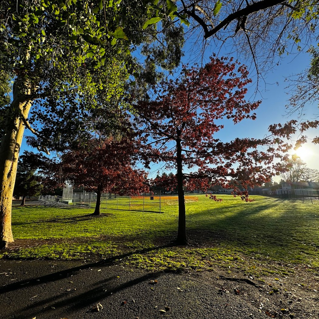 Whisman Park 1