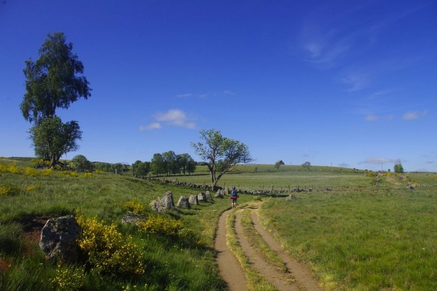 Tour des Monts Aubrac (Lozère-Aveyron-Cantal) 2