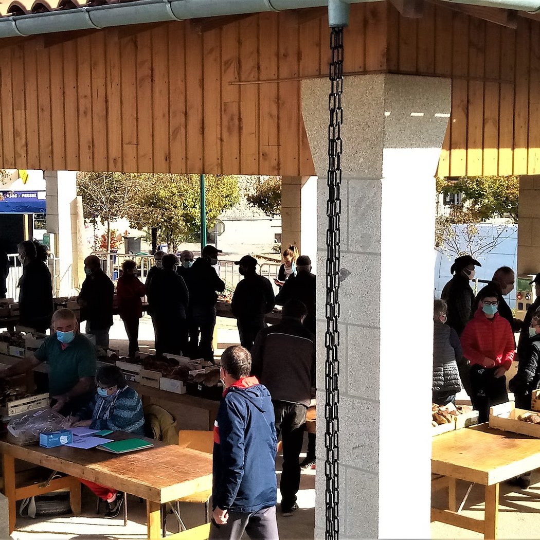 marché aux cèpes prix moyen 2