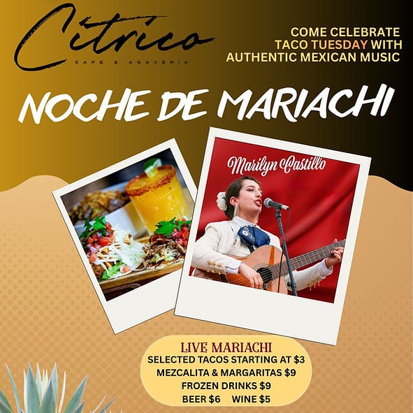 Noche De Mariachi 1