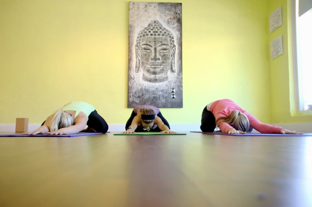 Yoga for the Pause 2
