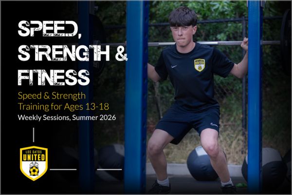 High-Impact Program for Athletes Ages 13–18 1