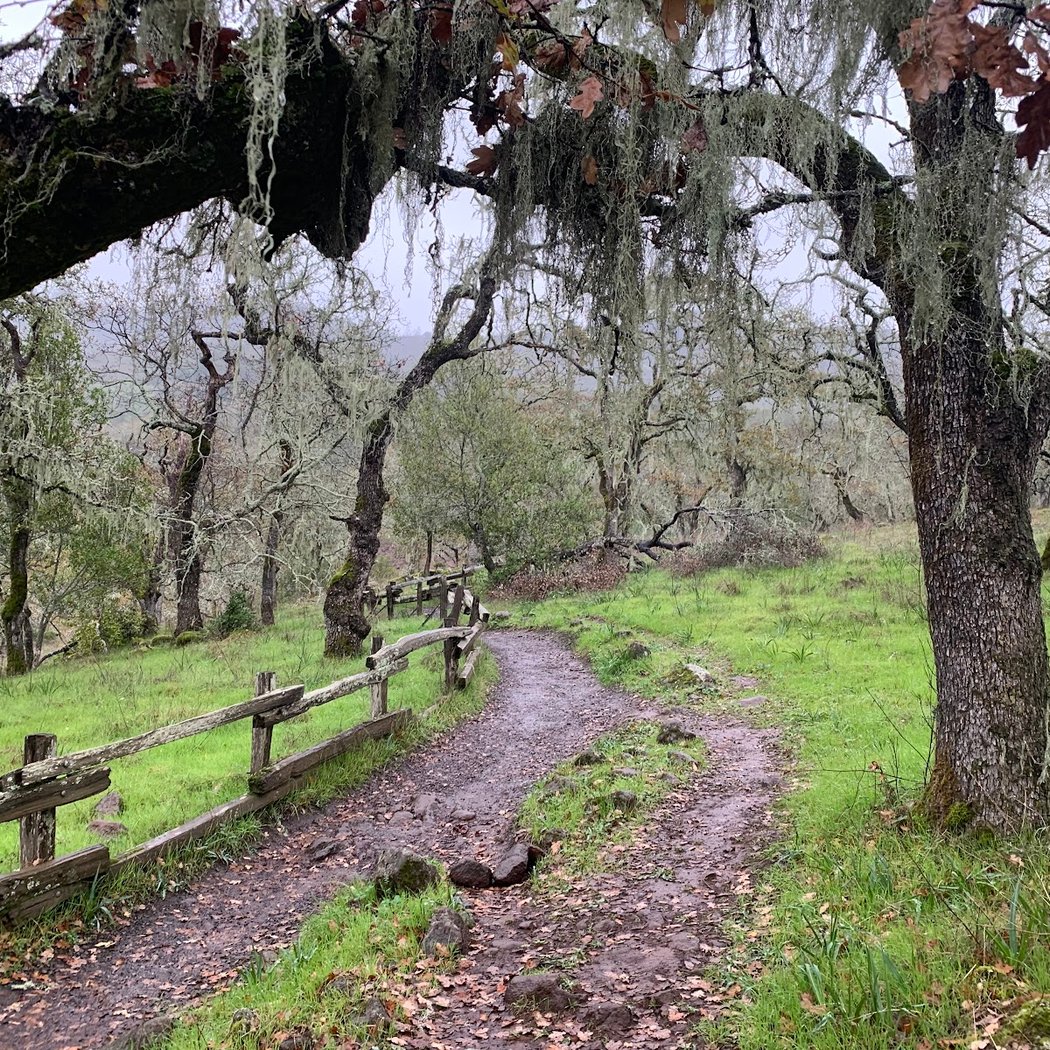 Parktrail Open Space 1