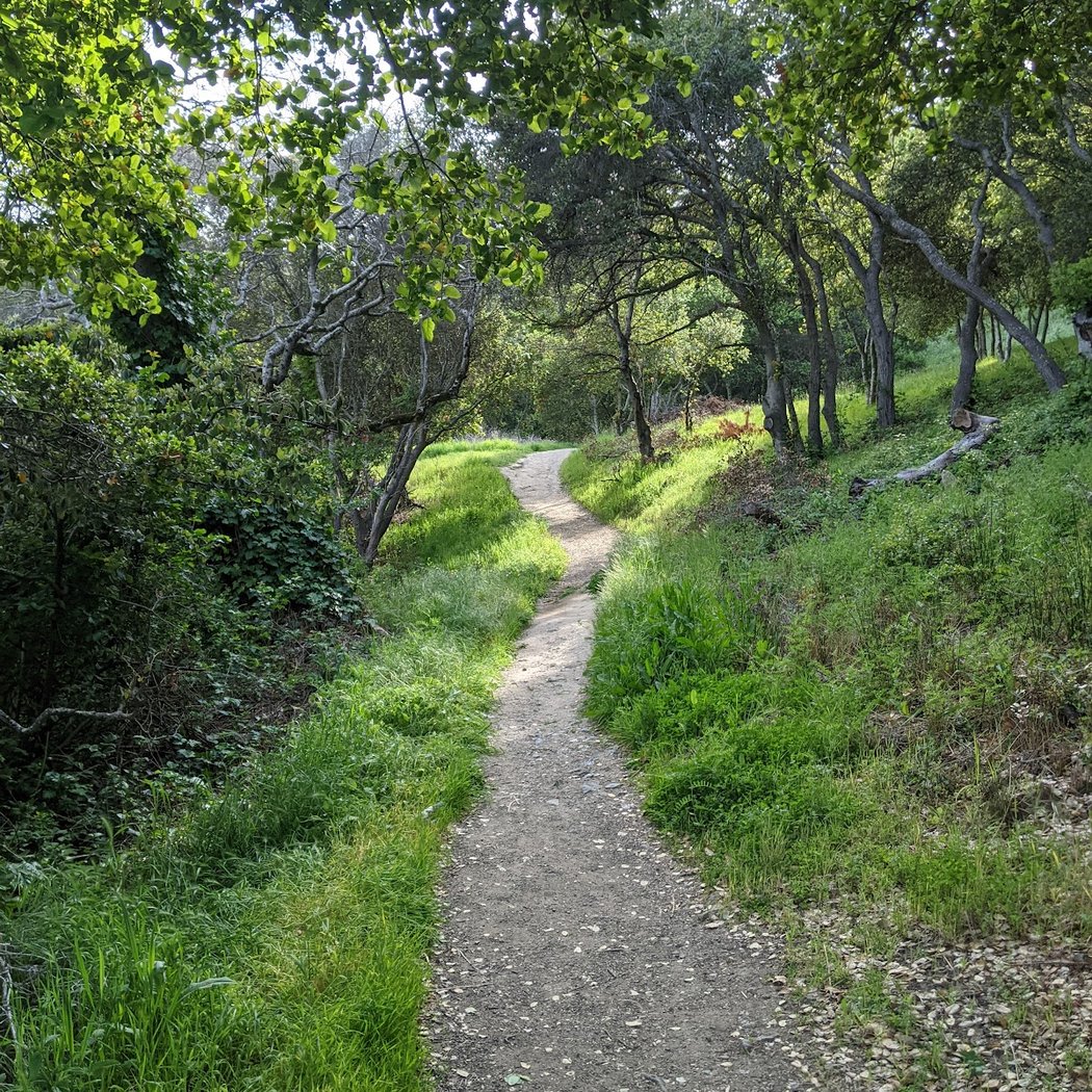 Ed Taylor Loop Trailhead 1