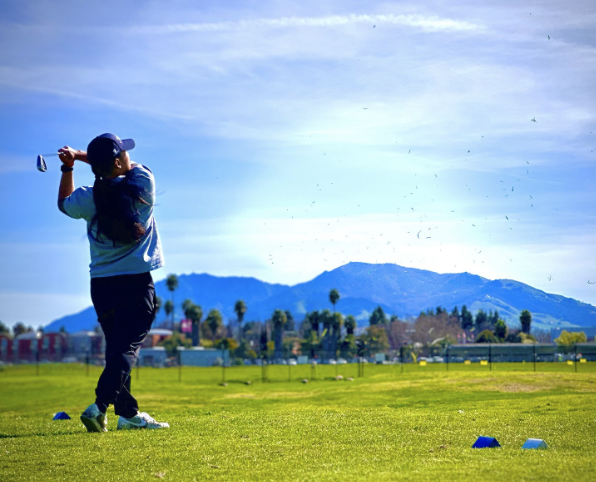 Skylinks at Buchanan Fields Golf Course 3
